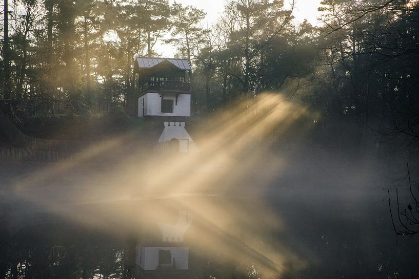 Foggy morning in the Zeisterbos near the tea house! by Peter Haastrecht, van