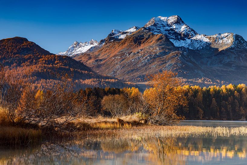Automne au lac Silsersee par Daniela Beyer