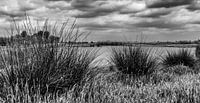 Black / White Photography - Nieuwkoopse pee ...