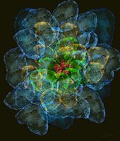 Fleur de lotus de la joie de vivre - Essence lumineuse Fleur de lotus abstraite