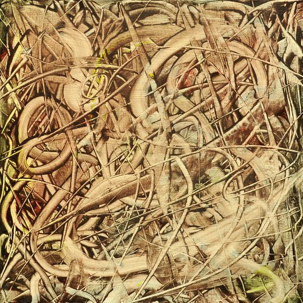 Lebensformen von Auke de Jong