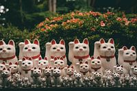 Lucky cats in Tokyo, Japan