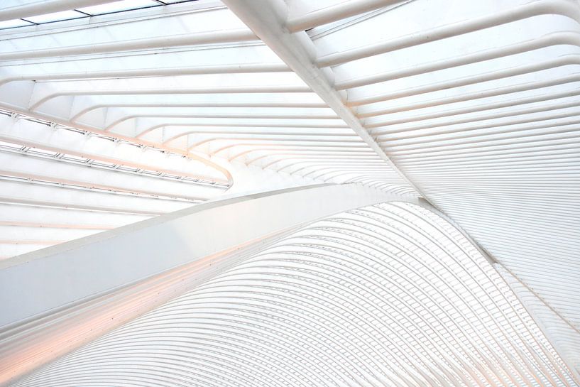 Het dak van Gare Guillemins te Luik par Ernst van Voorst