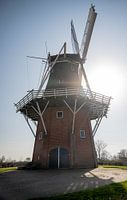 Mühle Zeldenrust in Dokkum glänzt unter blauem Himmel