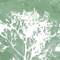 Botanische Kunst im Japandi  Stil. Blatt in mintgrün und weiß