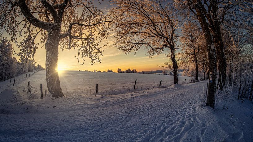 Mur de Suède par Andre Michaelis