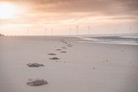 Footsteps in the sand in Zeeland
