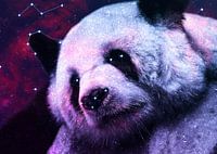 Galaxy Giant Panda