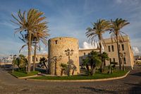 Port d'Alghero en Sardaigne, avec palmiers et tour