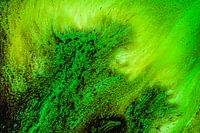 Photographic painting (7)