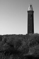 Die Hüterin der Küste