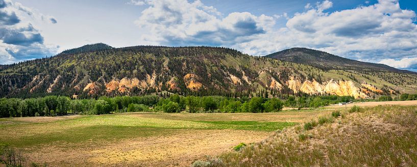 Panoramalandschaft im Britisch-Columbia, Kanada von Rietje Bulthuis
