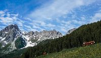 Ambiances idylliques dans le Pays du Mont-Blanc