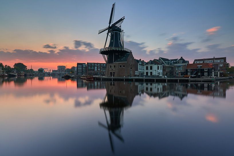 Kruising par Harro Jansz