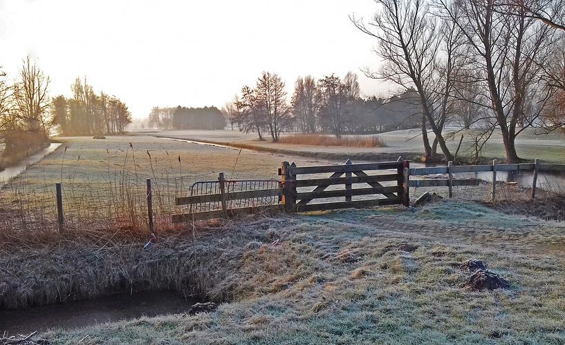 Winterochtend von Rinke Velds