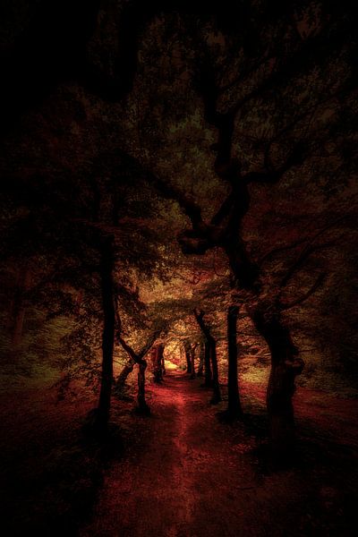 Fever Dream van Cho Tang