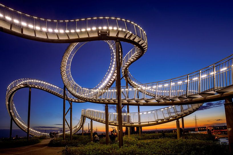 Tiger and Turtle in Duisburg by Frank Heldt
