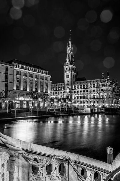 Hamburg City Hall by ahafineartimages