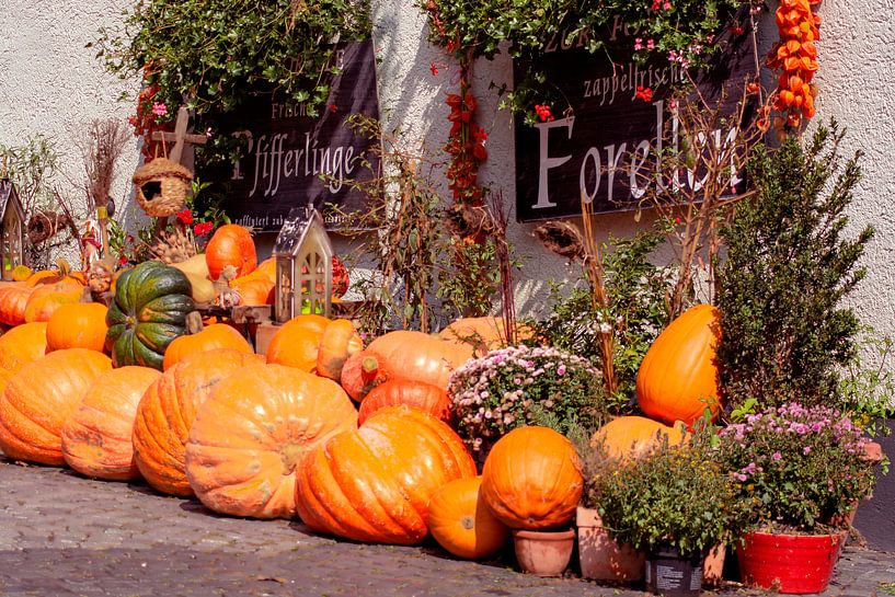Pumpkins von Photoart-Naegele