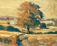 Arbre d'automne dans la vallée du Geul