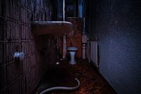 Die verbrannte Toilette