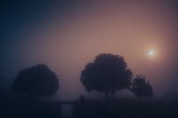 Gorinchem , Fog