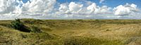 Panoramic dunes of Texel
