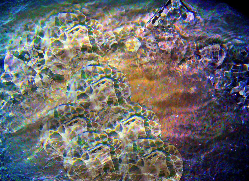 im Kosmos von Peter Norden