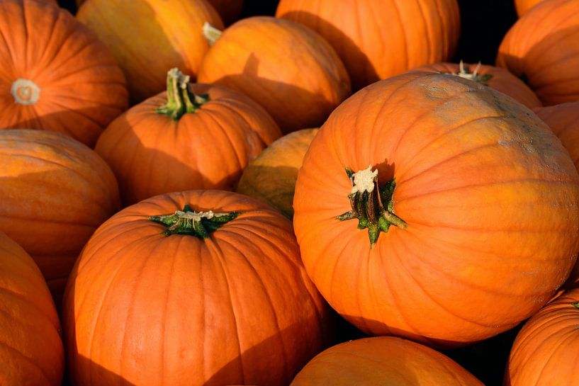 Achtergrond pompoen van Ulrike Leone
