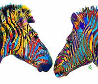 Ziggy und Zag die Zebras