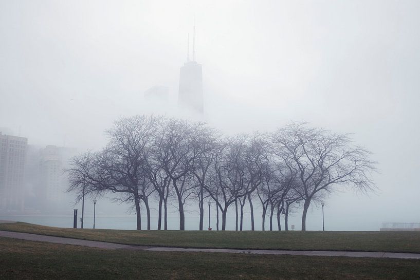 'Bomen', Chicago par Martine Joanne