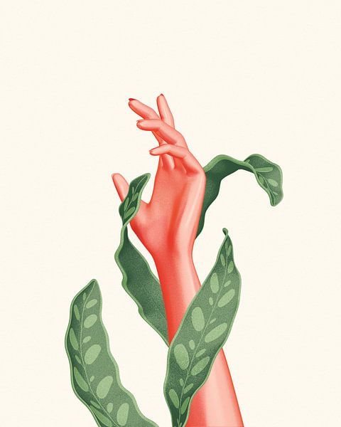 Hand calathea (rattlesnake) lancifolia van Klaudia Kogut