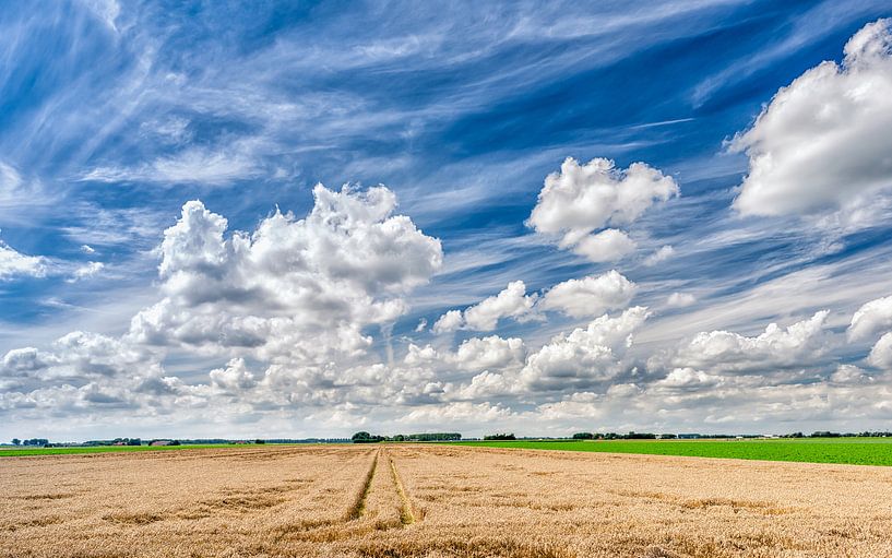 Hollandse luchten  von Jenco van Zalk