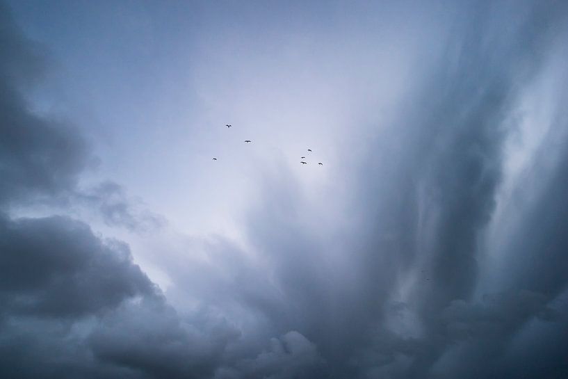 En approche de la catastrophe par Marloes van Pareren