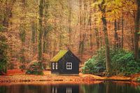 Under the autumn stars