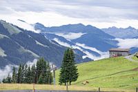 Landschaft in Österreich