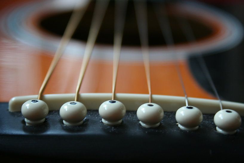 gitaar von Jan Mulder