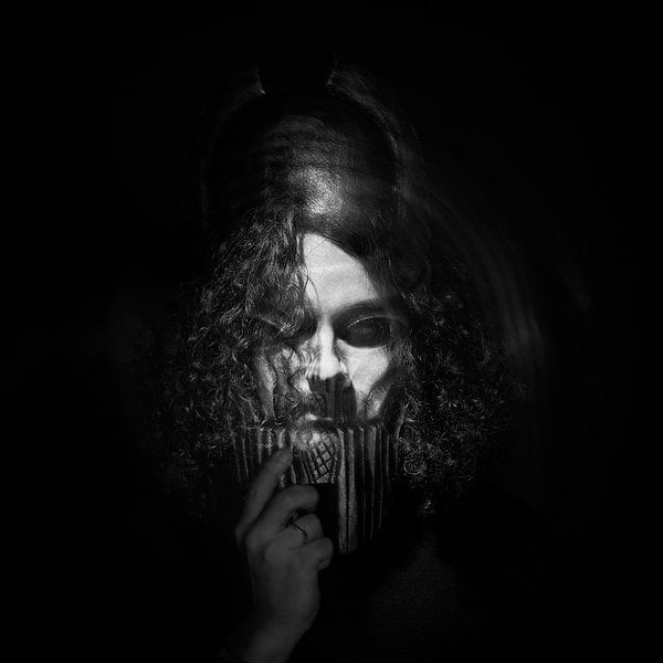 Mandroiïds by Wim van Berlo