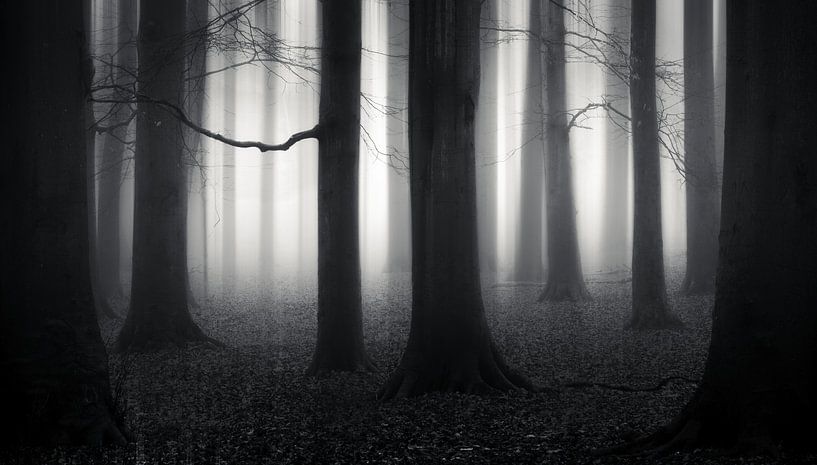 Step into the Paranormal van Daniel Laan