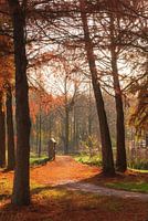 Herbst im Maximapark