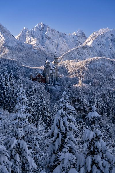 Le château de Neuschwanstein en hiver par Achim Thomae Photography