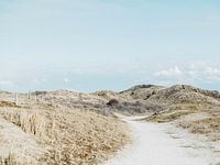 Dunes | Paysage | Mer | Zélande | Hollande