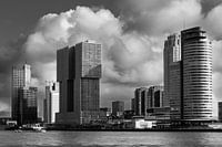 Le quai Hollande-Amérique à Rotterdam