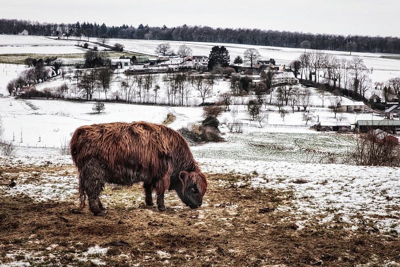 Fichiers par Rob Boon
