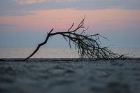 Tak op het strand op de brouwersdam