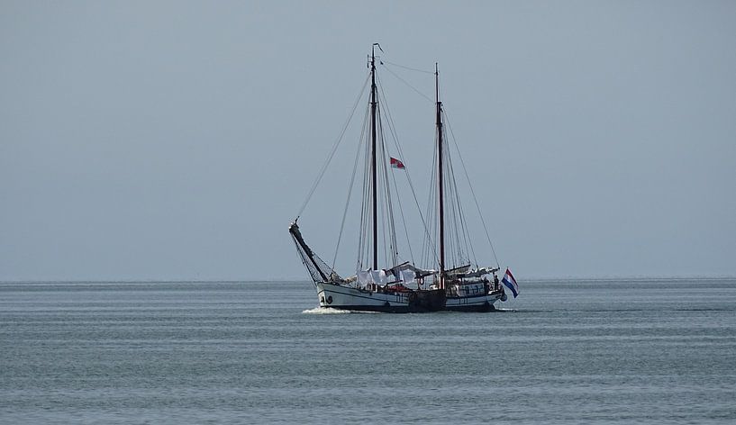 Counting sheep van Koos van Woudenberg