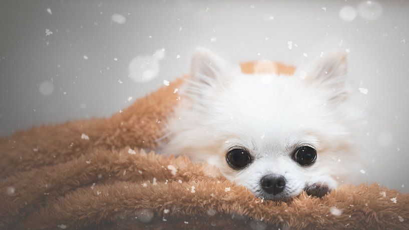 Ein Tag im Winter von Lienjp 