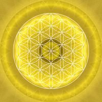 Solar Plexus Chakra with Flower of Life