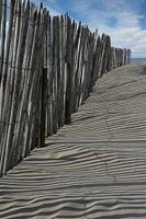 Holzpfähle am Strand von Cadzand Zeeland