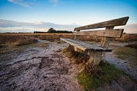 Banc sur la lande